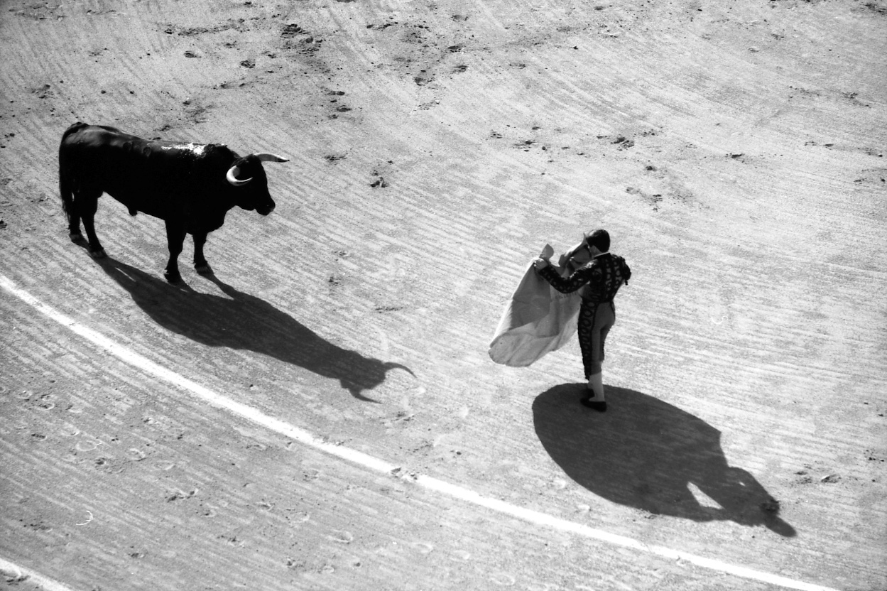 Matador and bull.