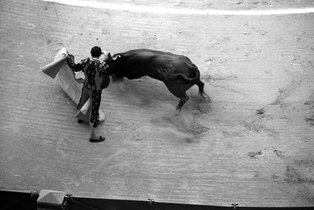 Matador waving cape at a bull.