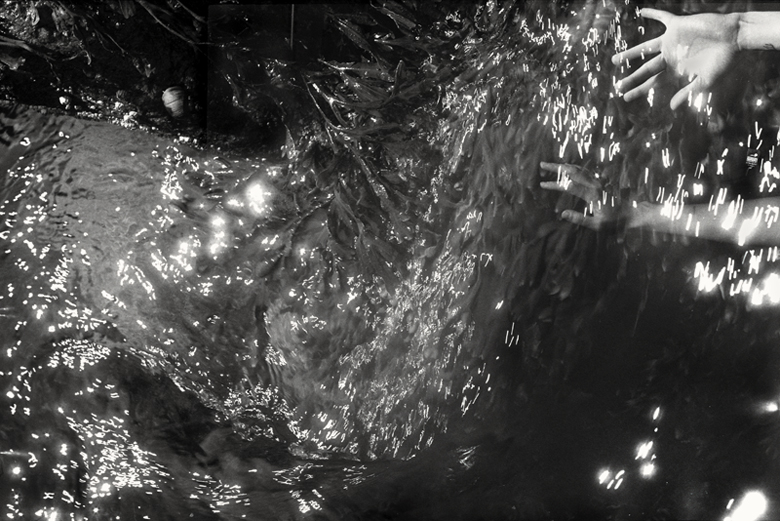 Black and white multiple exposure image of textured sparkling water with two arms reaching into the water.