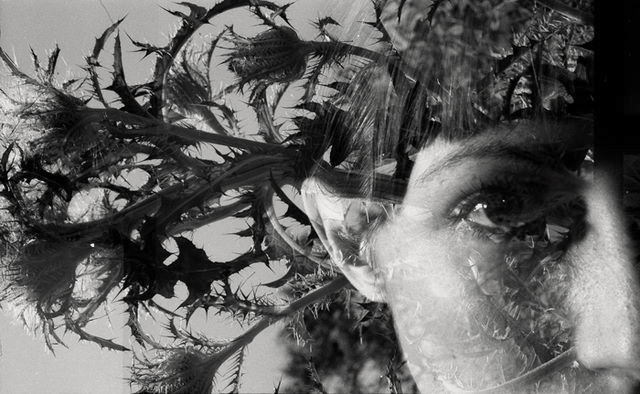 Black and white multiple exposure image of a head with plants growing horizonally out of one side.