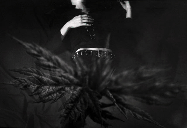 Black and white multiple exposure image of a floating torso protruding from a large deeply shadowed leaf.