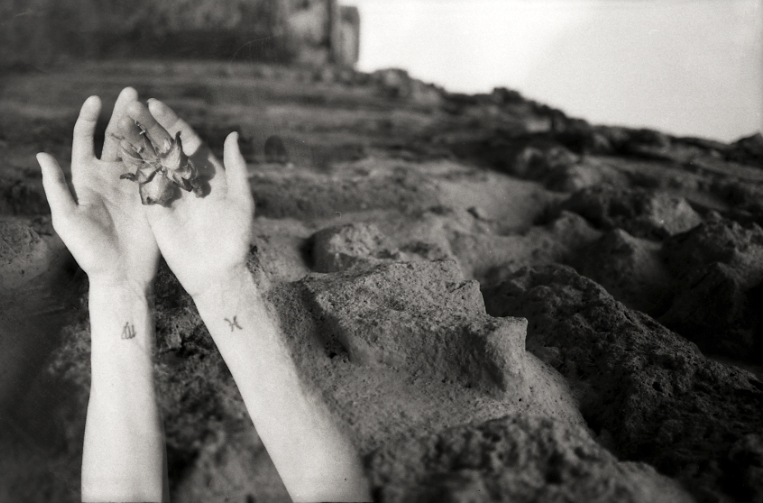 Black and white multiple exposure image of two arms and hands extending out of the earth and delicately holding a flower.