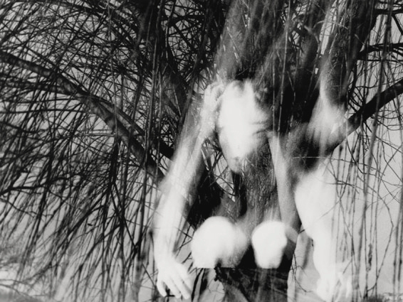 Black and white multiple exposure image of a blurred figure in movement looking upward. In the background are dark, leafless hanging willow branches.